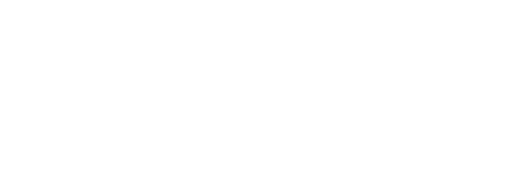 Faru Graphite Logo, reverse in white
